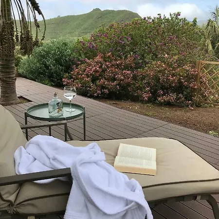 Haciendas Del Valle - Kentias *