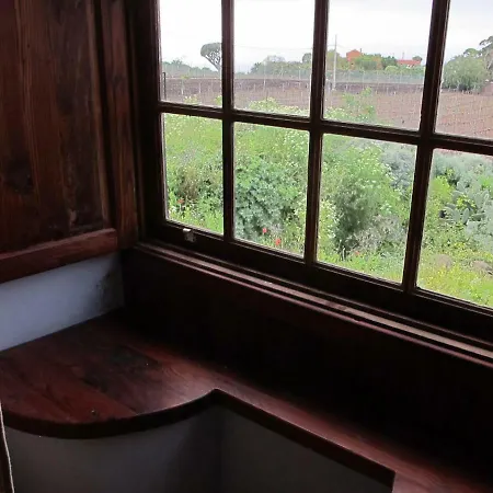 Haciendas Del Valle - Kentias Landsted