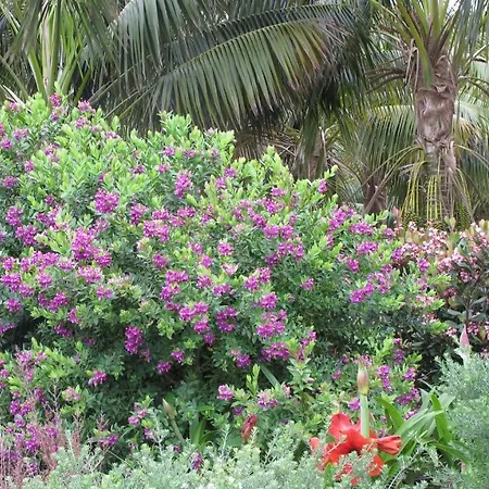 Haciendas Del Valle - Kentias Landsted *