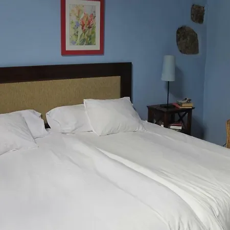 Haciendas Del Valle - Kentias