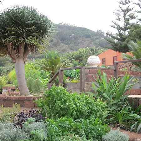 Haciendas Del Valle - Kentias