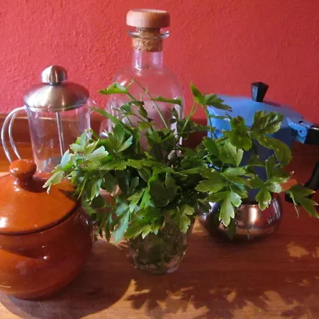 Haciendas Del Valle - Kentias * Valle de Guerra