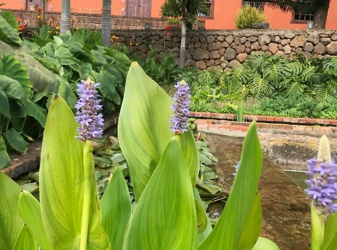 Country house Haciendas Del Valle - Kentias