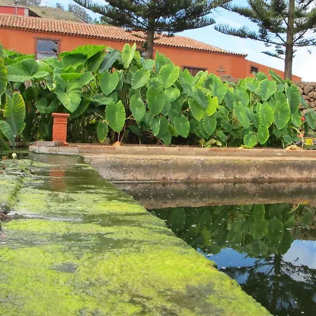 Haciendas Del Valle - Kentias *