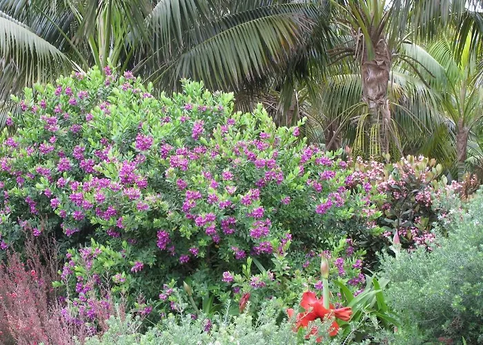 Haciendas Del Valle - Kentias Landhaus *