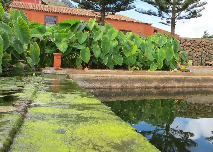 Haciendas Del Valle - Kentias *