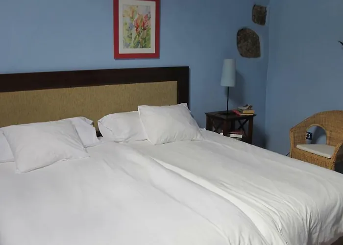 Haciendas Del Valle - Kentias